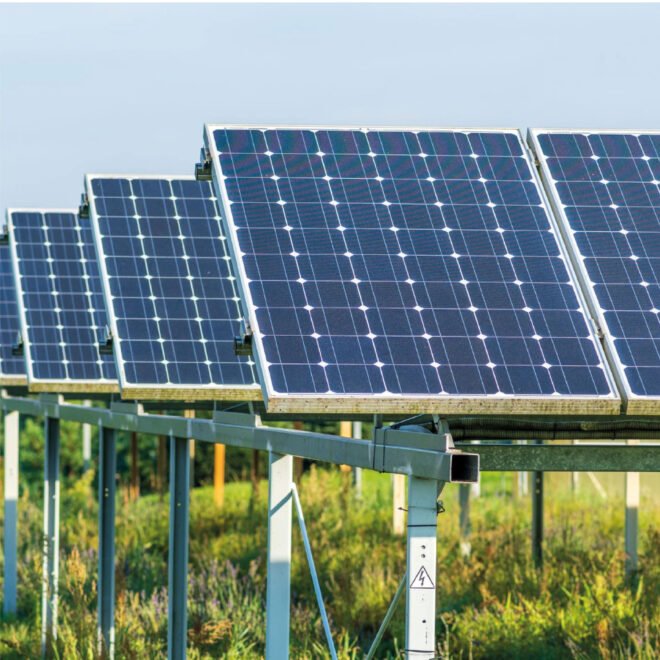 web ammar gallery-17